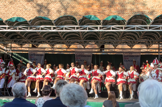 Landesgartenschau 2014 Tag des Karnevals